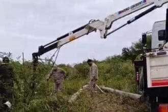 Programa Luz Rural: Avanzan Nuevas Obras De Electrificación En Parajes De Pampa Del Indio