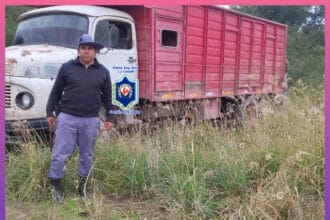 CHACO: Secuestraron Cinco Toneladas De Leña Y Cuatro Caballos Sueltos Durante Controles Rurales | Último momento en Chaco