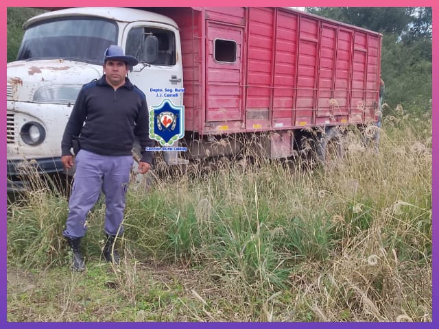 CHACO: Secuestraron Cinco Toneladas De Leña Y Cuatro Caballos Sueltos Durante Controles Rurales | Último momento en Chaco