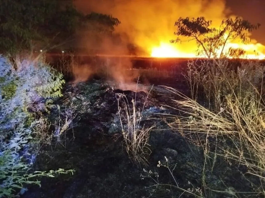 Incendio de pastizales en zona residencial: un hombre demorado por presunta negligencia