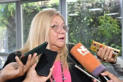 Delgado sobre reducción de alícuotas de ingresos brutos: “Vamos a trabajar para propiciar las herramientas de alivio para los chaqueños”