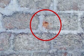 CHACO: Escuchó Disparos Y Luego Vio Que Balearon Su Casa