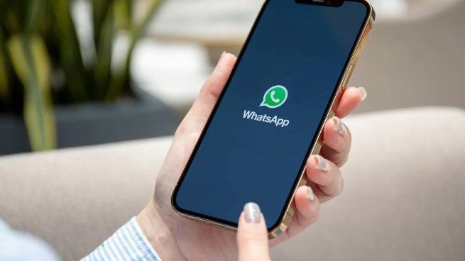 ¡Esta falla de WhatsApp está molestando a miles de usuarios! Este es el paso a paso para solucionarla
