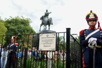 Sáenz Peña: En la plaza San Martín se plantó un nieto del Pino Histórico de San Lorenzo
