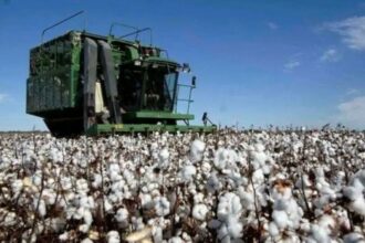 El Consejo Federal Agropecuario Se Reúne En Resistencia