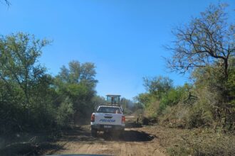 Exitoso Operativo Contra El Desmonte Ilegal Al Sur De Pinedo