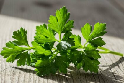 El truco infalible para conservar el perejil fresco por semanas