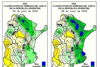 Inició la siembra de trigo, pero el exceso de lluvias genera demoras e incertidumbre