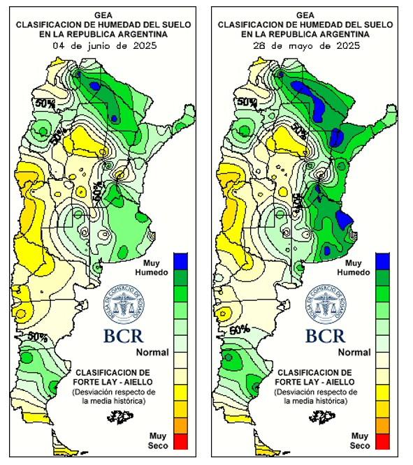 Inició la siembra de trigo, pero el exceso de lluvias genera demoras e incertidumbre