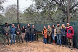 Parque Nacional El Impenetrable: La Vicegobernadora Schneider Acompañó La Liberación De La Yaguareté “quiyoc”