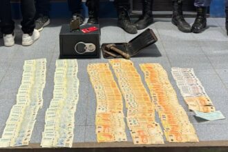 PINEDO: Robó Más De  Millones A Sus Propios Tíos Y Fue Descubierto Escondido En Casa De Su Abuela