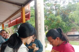 El Municipio de Sáen Peña realizó una jornada de vacunación y desparasitación de mascotas en el barrio Solidario