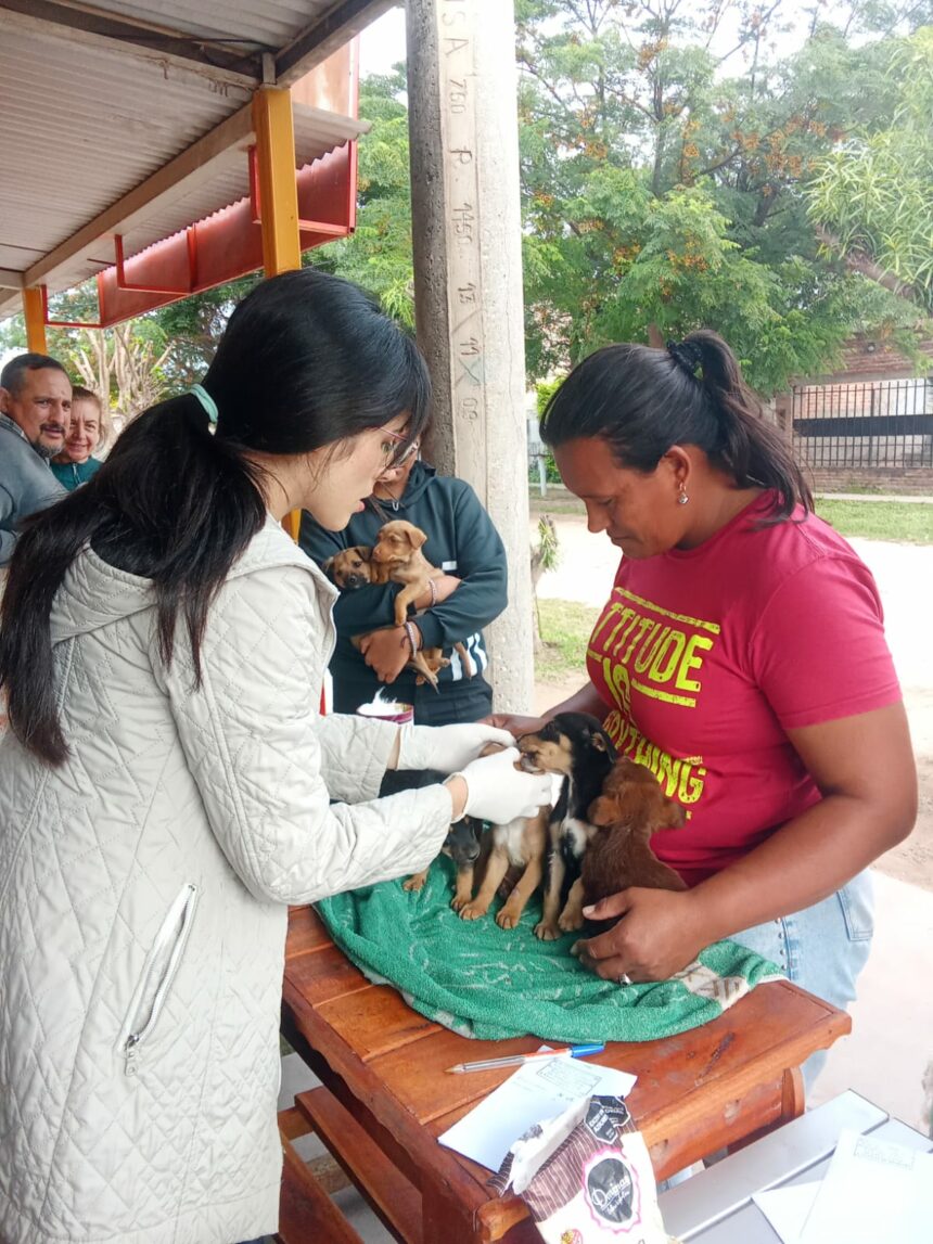 El Municipio de Sáen Peña realizó una jornada de vacunación y desparasitación de mascotas en el barrio Solidario