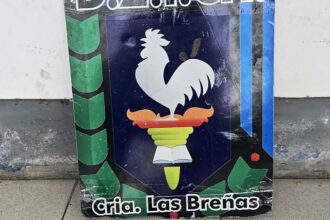 CHACO: Lo Invitaron A Mirar Un Partido De Fútbol, Y Se Llevó El Teléfono Del Anfitrión