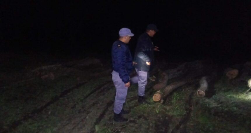 CHACO: Secuestran Ocho Toneladas De Madera Talada Ilegalmente