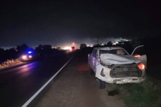 Campo Largo, Ruta 89: brutal choque entre una camioneta y un caballo suelto deja una escena de alto riesgo