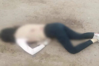 Horror en Ruta 95: hallan el cuerpo sin vida de una mujer con una herida en la espalda