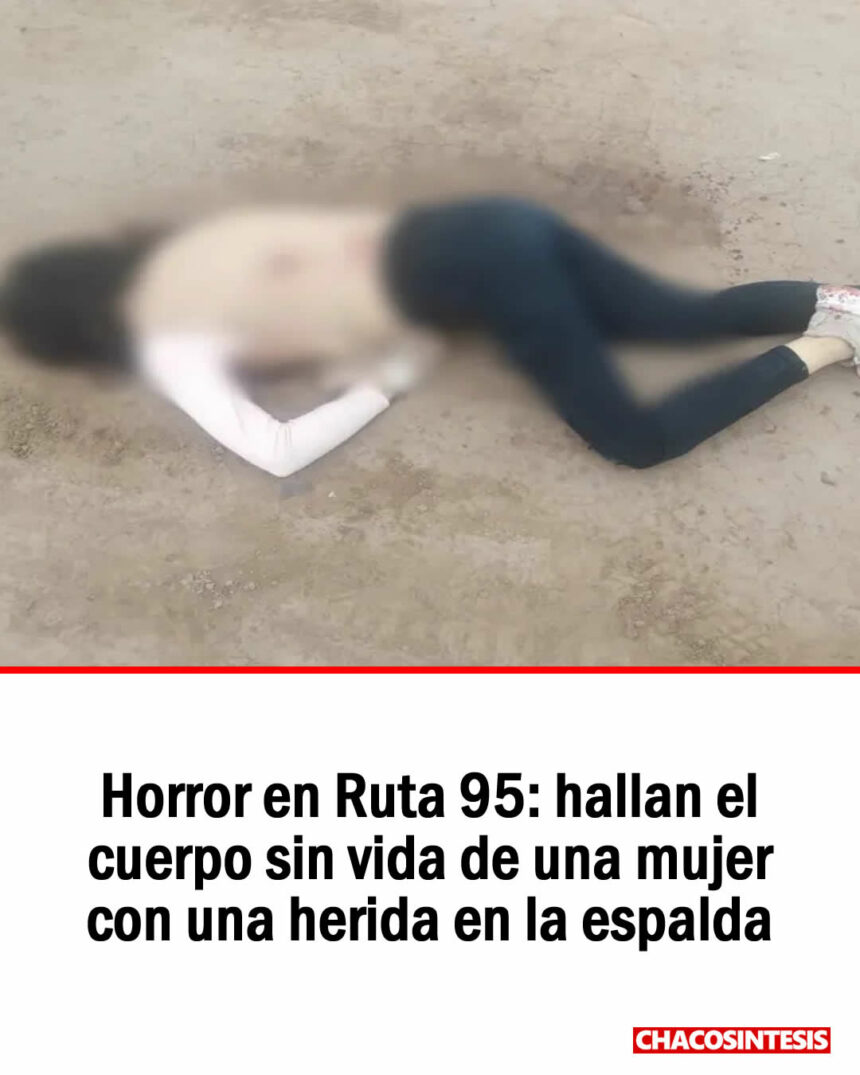 Horror en Ruta 95: hallan el cuerpo sin vida de una mujer con una herida en la espalda