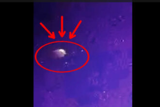 VIDEO ¿OVNI en el cielo de Chaco? Un misterioso objeto volador fue captado en Presidencia Roca