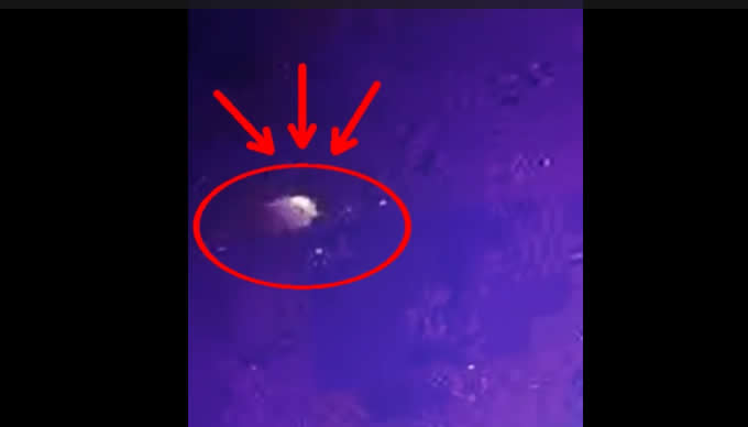 VIDEO ¿OVNI en el cielo de Chaco? Un misterioso objeto volador fue captado en Presidencia Roca