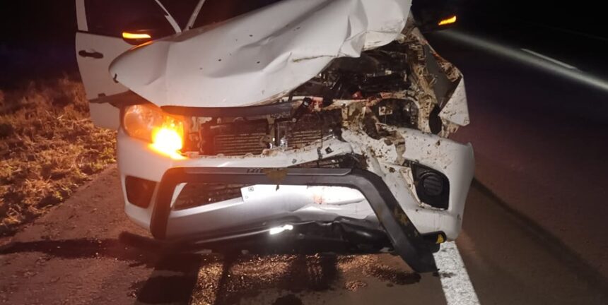 LOS FRENTONES:  Se Salvaron De Milagro Tras Colisionar Contra Un Caballo Suelto