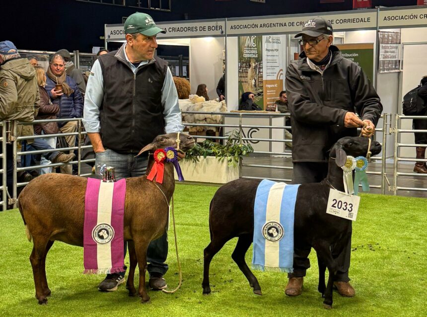 Chaco Hizo Historia En Palermo: Cabañas Chaqueñas Brillaron En La Expo Rural 2025