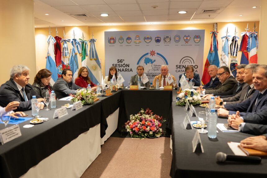 Chaco Se Comprometió Con La Seguridad Regional En El Plenario De Vicegobernadores Del Norte Grande