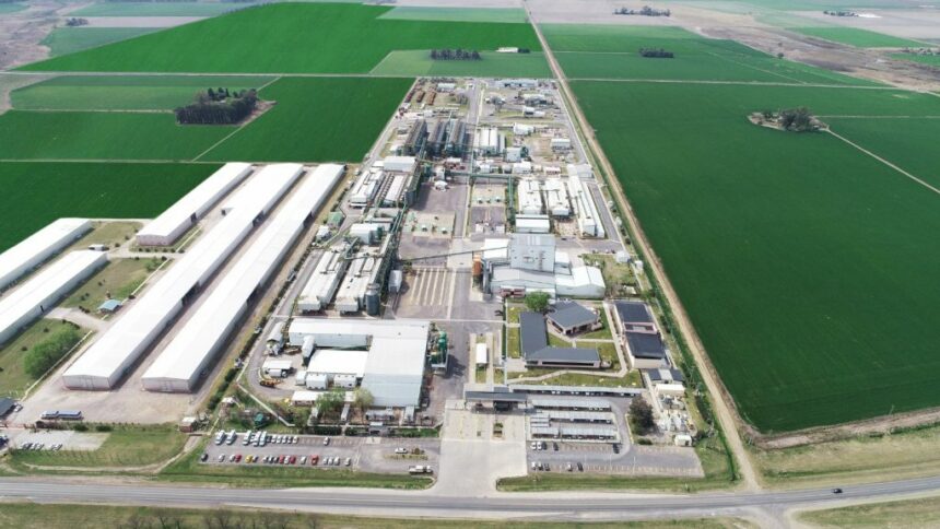 Cierran un acuerdo para abastecer con energía solar la planta procesadora de semillas maíz más grande del mundo