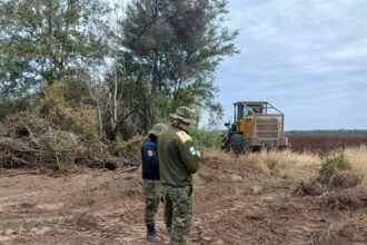 CHACO:  Agentes Rurales Y Personal De Bosques Detuvieron Un Desmonte Ilegal