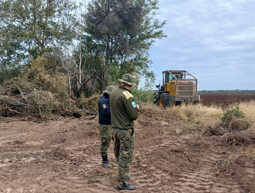 CHACO:  Agentes Rurales Y Personal De Bosques Detuvieron Un Desmonte Ilegal