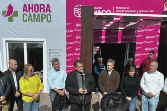 Destacado Anuncio En Agronea 2025: Ratificaron La Continuidad Del Seguro Multirriesgo  Para El Girasol