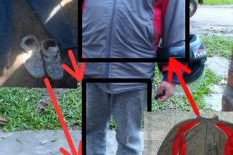 CHACO: Detuvieron En Formosa A Un Estafador Que Fingía Ser Técnico De Energía Y Cobró Dinero A Un Jubilado Chaqueño