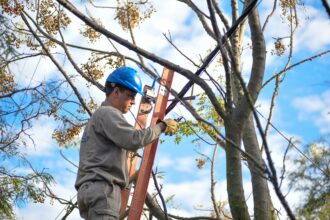 Lucha Al Fraude Eléctrico: En Sáenz Peña, Secheep Eliminó Conexiones Clandestinas En El Barrio Nalá