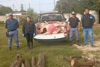 ROCA: Secuestran 600 Kg De Carne No Apta Para Consumo