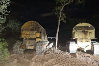 Operativos De Fiscalización Forestal: Se Logró Detener Un Nuevo Desmonte