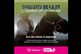 Protección Animal En La Cabalgata De La Fe: 15 Veterinarios Acompañarán Todo El Recorrido