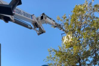 Secheep Refuerza El Funcionamiento De La Red De Alumbrado Del Gran Resistencia