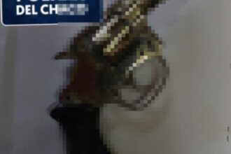 BASAIL: Encontraron En El Chiquero De Una Escuela Rural Un Arma De Fuego