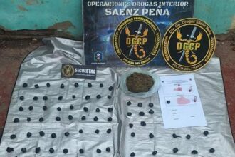 SÁENZ PEÑA: Efectivos Incautaron Más De 100 Envoltorios De Cannabis Y Marihuana