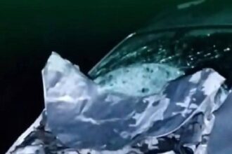 CHACO:  Conductora Lesionada Tras Chocar Contra Animal Suelto En Ruta 9, En Colonia Elisa