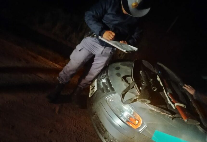 SAN MARTÍN: Secuestran Armas De Fuego En Un Control En La Zona Rural
