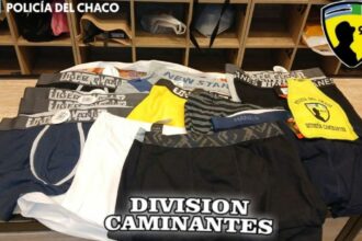 RESISTENCIA:  Demoraron A Una Mujer Por Sustraer Ropa Interior En Un Local De La Peatonal