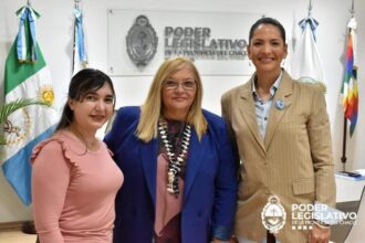 Delgado recibió a representantes de la Sociedad Argentina de Pediatría-Filial Chaco