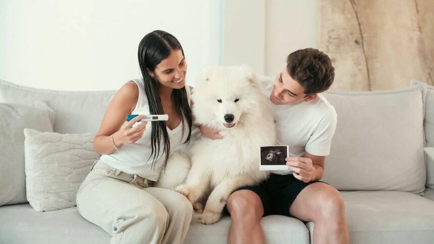 Julián Álvarez reveló el sexo de su bebé