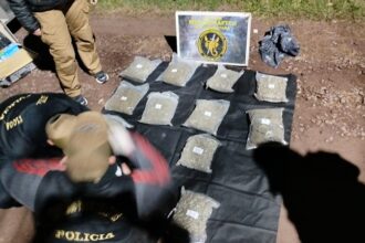 FONTANA: Secuestran Doce Paquetes De Marihuana Y Demoran A Tres Hombres