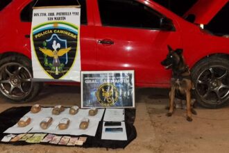 SAN MARTÍN: Fueron Detenidos Con Ocho Panes De Marihuana En Ruta 90