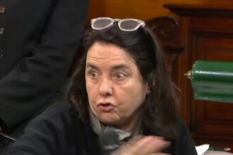 La polémica frase de una senadora: “No creo que los niños tengan derecho al Garrahan”