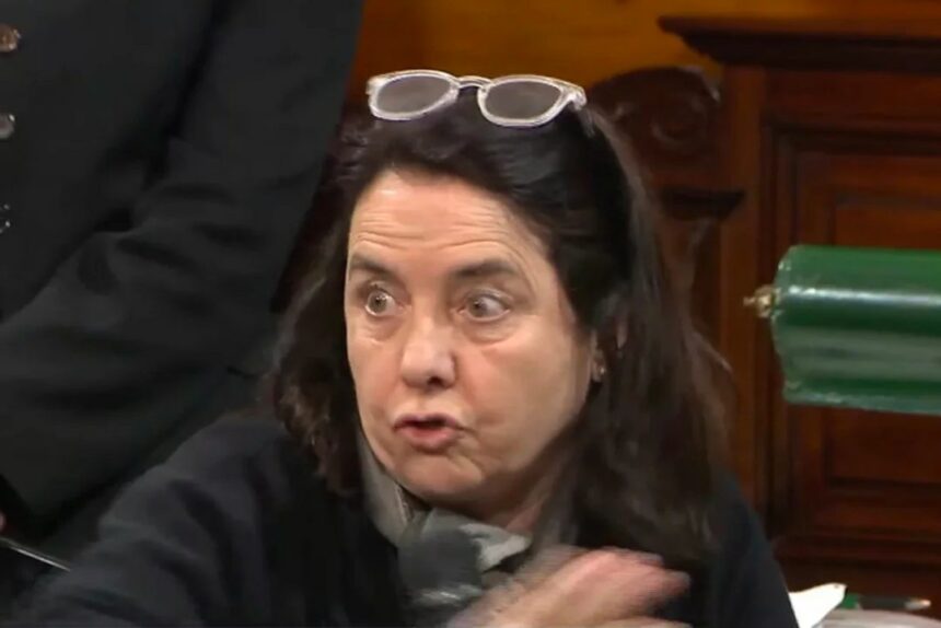 La polémica frase de una senadora: “No creo que los niños tengan derecho al Garrahan”