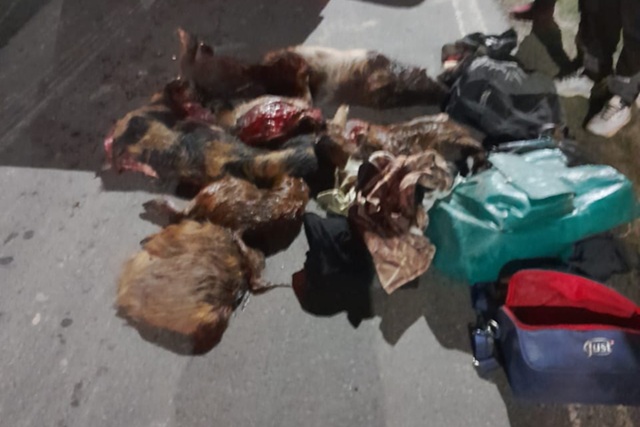 BASAIL: Secuestran 60 Kilos De Carne Sin Cadena De Frío