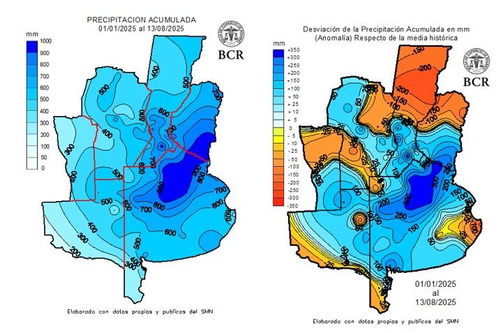 Buenas lluvias y condiciones favorables impulsan al trigo